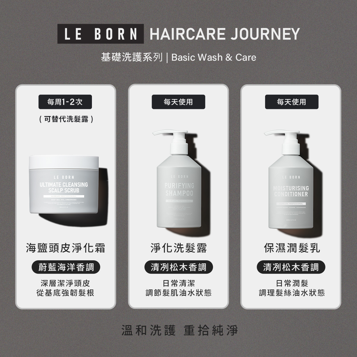 LE BORN 基礎洗護系列三款產品展示。包含「海鹽頭皮淨化霜」(每週 1-2 次,深層潔淨)、「淨化洗髮露」(每天使用,日常清潔)與「保濕潤髮乳」(每天使用,調理髮絲)。視覺統一且功能劃分明確。