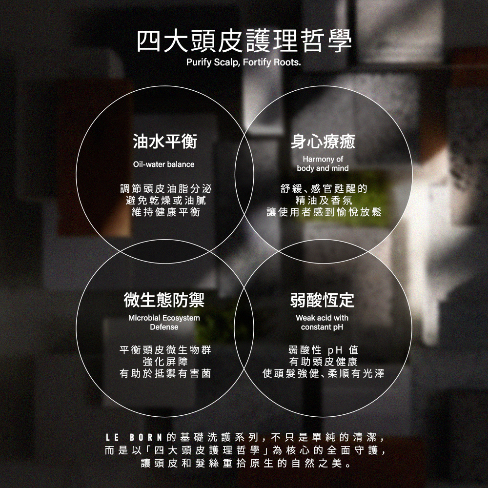 LE BORN 的「四大頭皮護理哲學」圖解。以四個交疊圓圈展示核心理念：1. 油水平衡（調節油脂分泌）、2. 身心療癒（精油香氛放鬆）、3. 微生態防禦（平衡微生物群）、4. 弱酸恆定（維持健康 pH 值）。強調重拾原生自然之美。