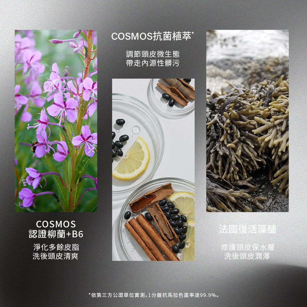 三大核心植萃成份介紹。左側為 COSMOS 認證柳蘭 + B6（淨化皮脂、清爽頭皮）；中間為 COSMOS 抗菌植萃（調節微生態、帶走髒污）；右側為 法國復活藻醣（修護保水層、潤澤洗後感）。背景展示了真實植物、實驗皿與海藻元素。