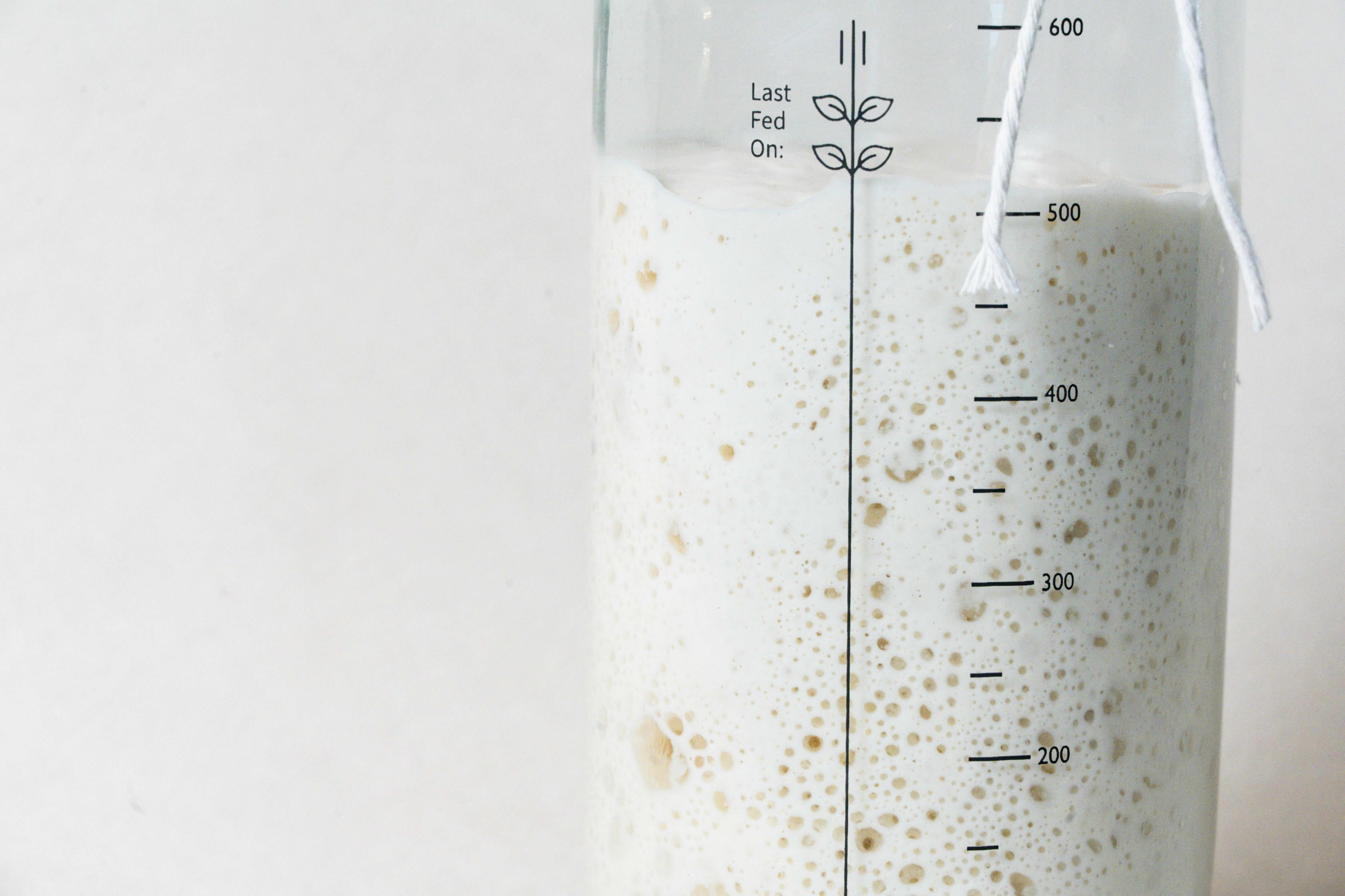 mise en Plants 植物性 x 無麩質 x 酸種麵包：餵養酸種