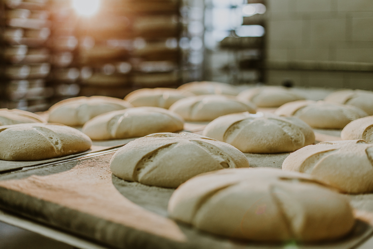 mise en Plants 植物性 x 無麩質 x 酸種麵包：長時間發酵