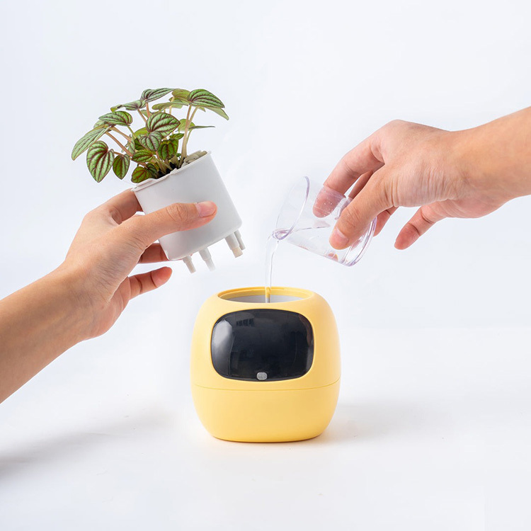 PLANTSIO Ivy Gen 2 智能盆栽