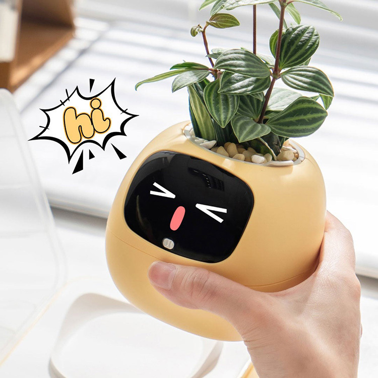 PLANTSIO Ivy Gen 2 智能盆栽