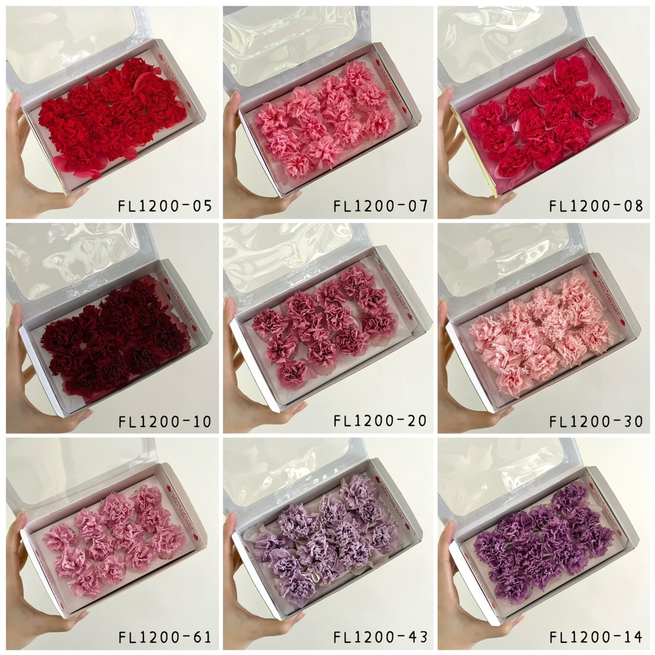 (促銷)日本不凋小輪康乃馨FL1200系列(12朵)