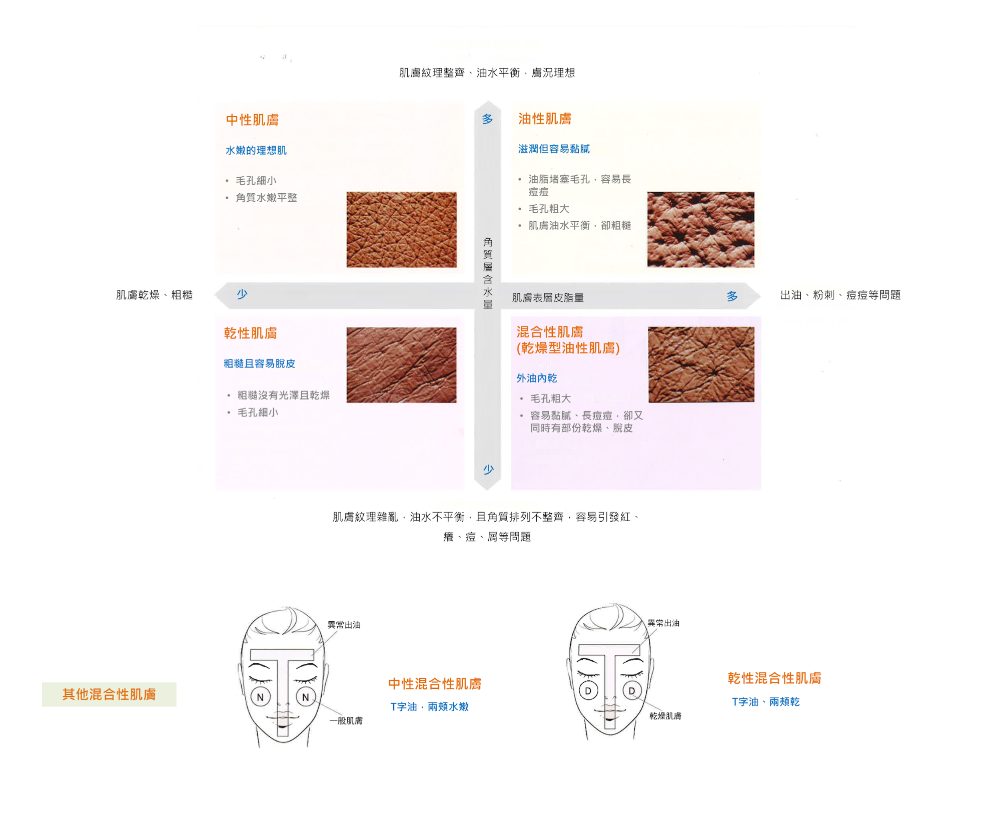 肌膚分類