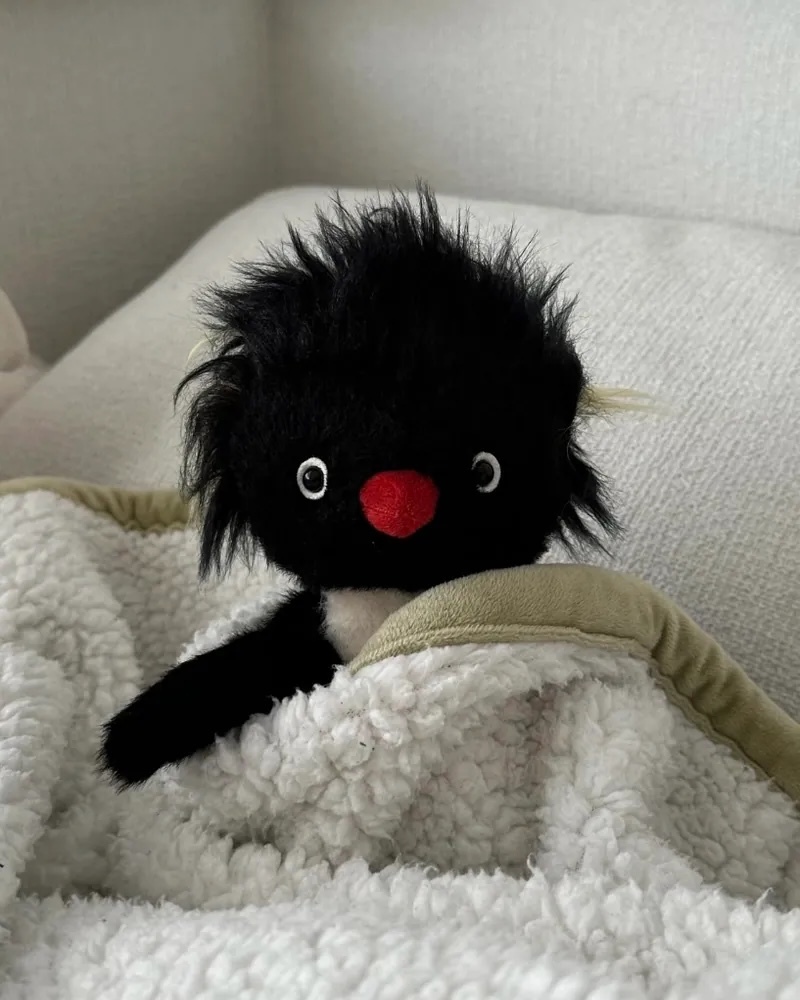 【預購】Jellycat 絕版系列 炸毛 鴨子 爆炸頭 黃鴨 炸毛 企鵝 娃娃