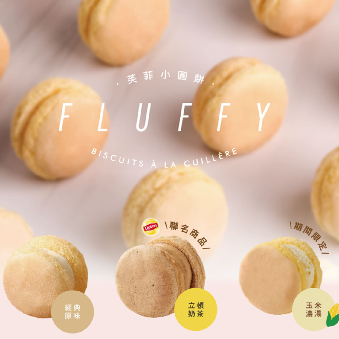 (團購)小熊菓子-芙菲小圓餅(04/09到貨)