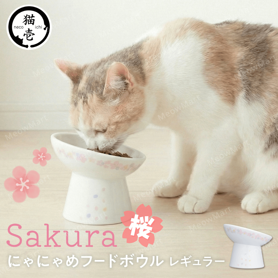 Necoichi 2026櫻花 斜口高腳食物碗