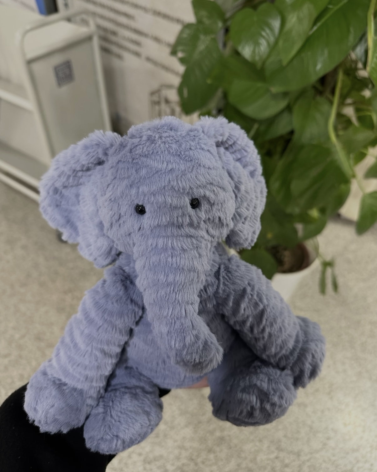 JELLYCAT 波浪毛系列 藍紫色 大象 娃娃 毛絨 玩偶 23cm