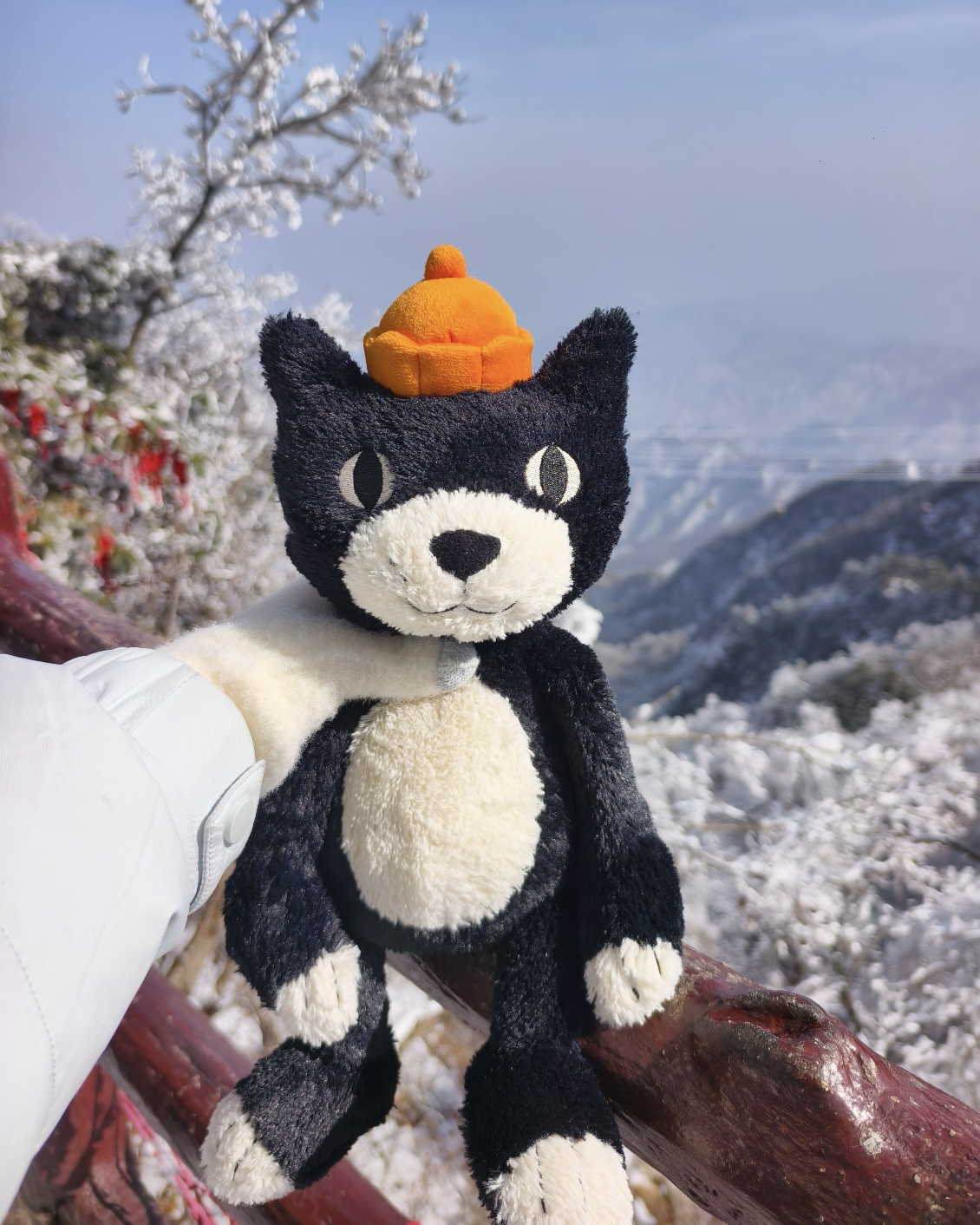 JELLYCAT 貓系列 果凍貓 黑貓 傑克 娃娃 毛絨 玩偶 23cm