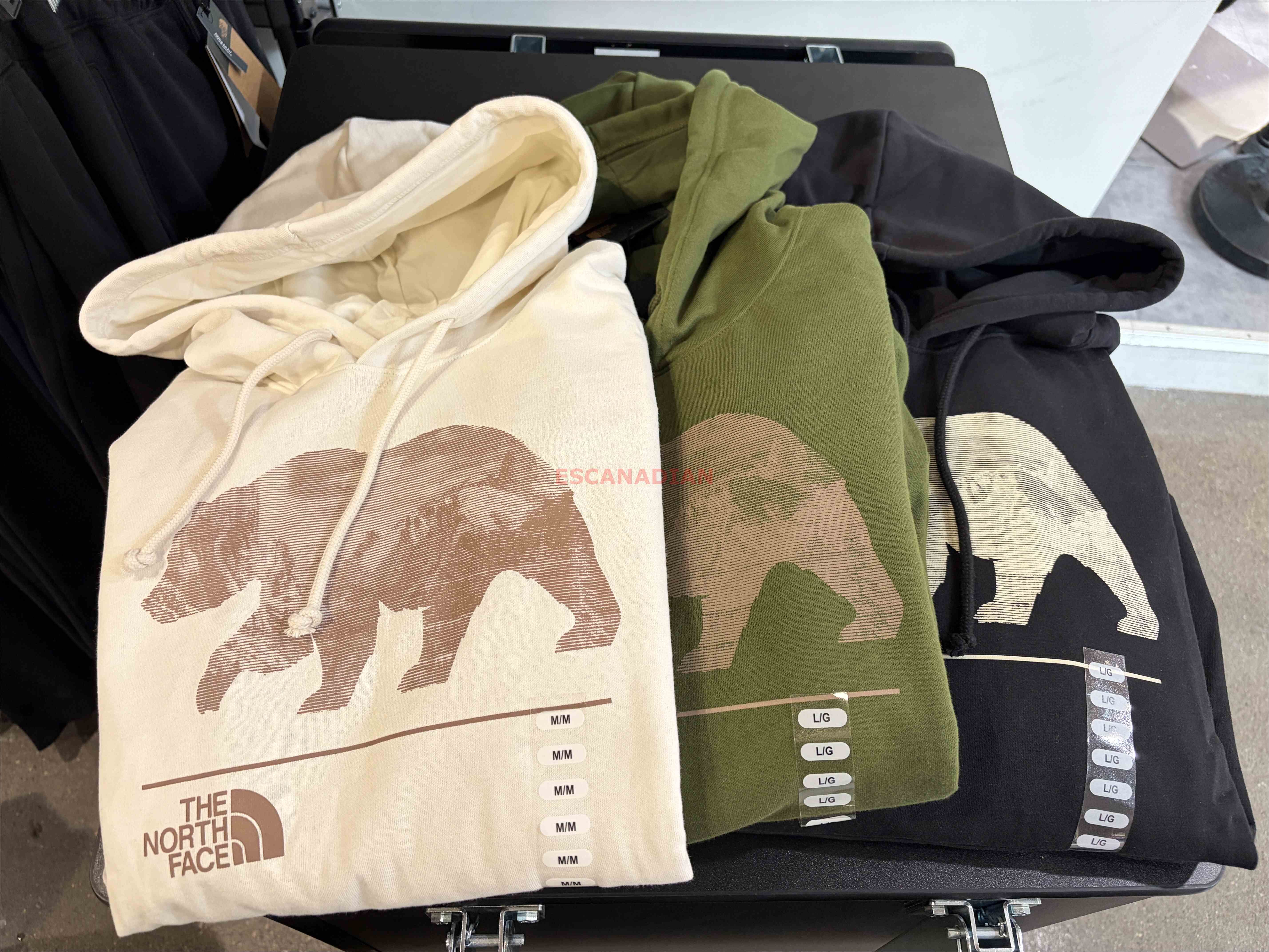 THE NORTH FACE 男大人 熊圖案 刷毛 帽TEE (3色)