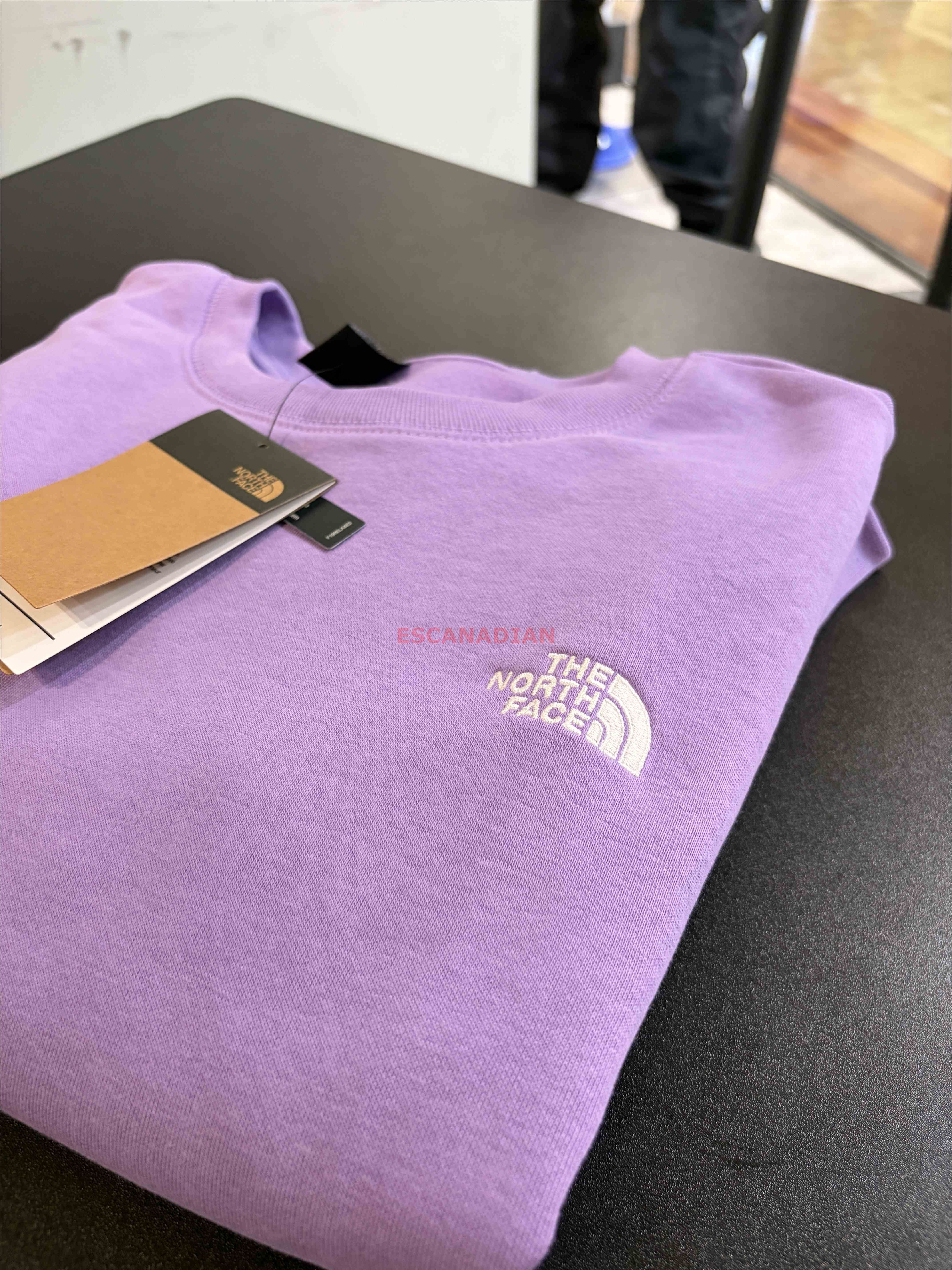 THE NORTH FACE 女大人 刺繡小標 落肩 小寬版 刷毛 大學TEE