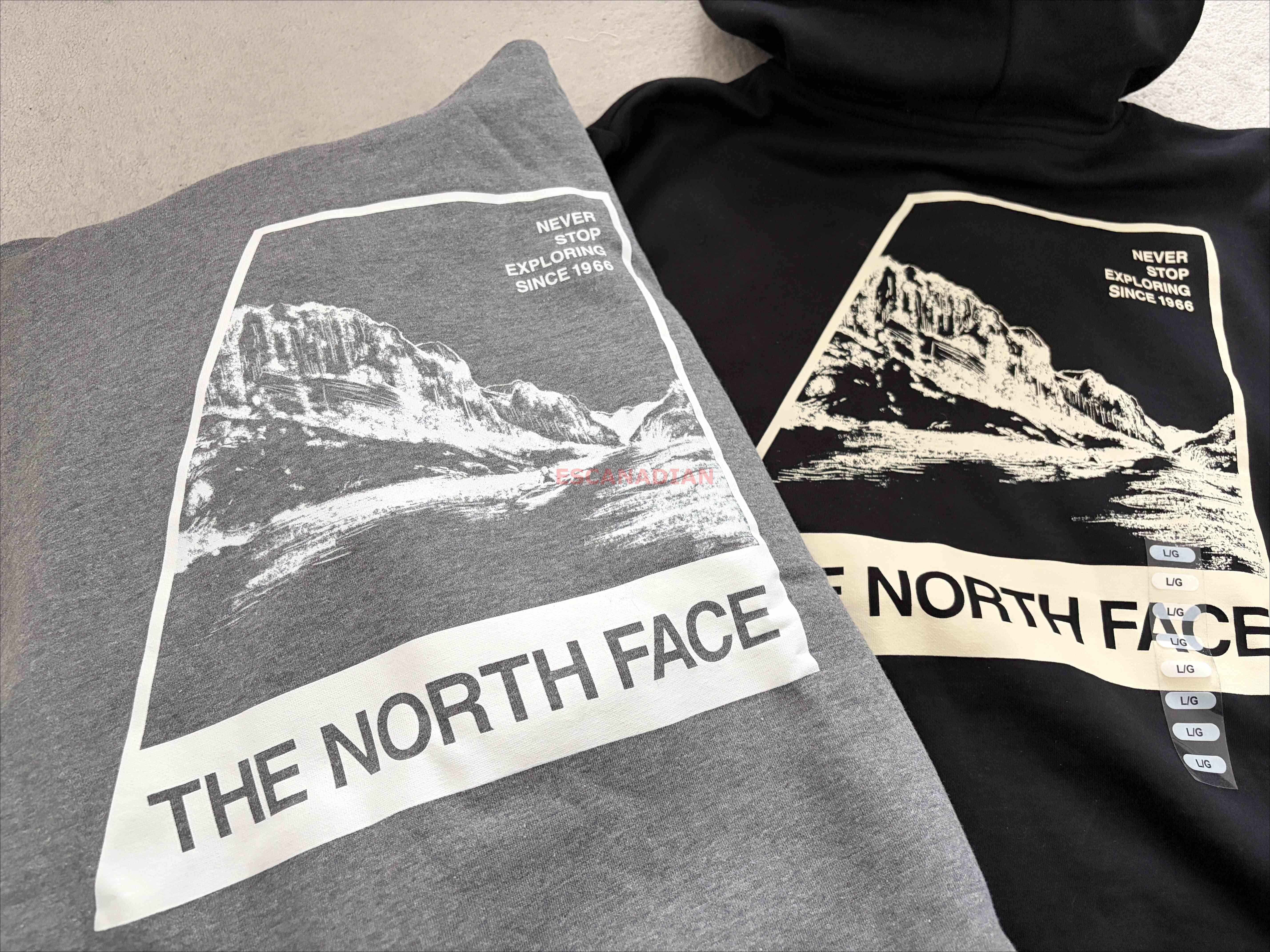THE NORTH FACE 男大人 正反山脈圖案 刷毛 帽TEE