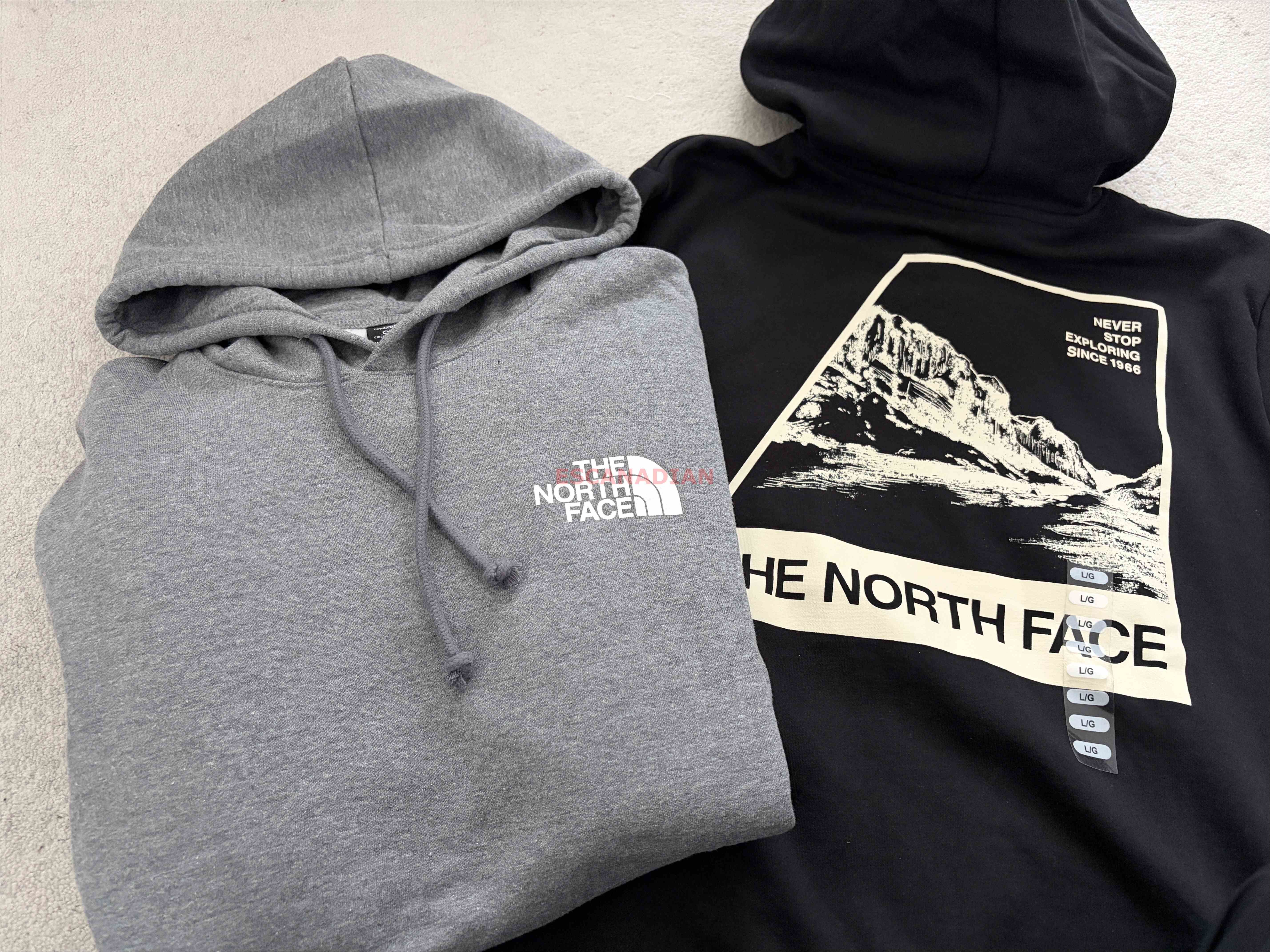 THE NORTH FACE 男大人 正反山脈圖案 刷毛 帽TEE