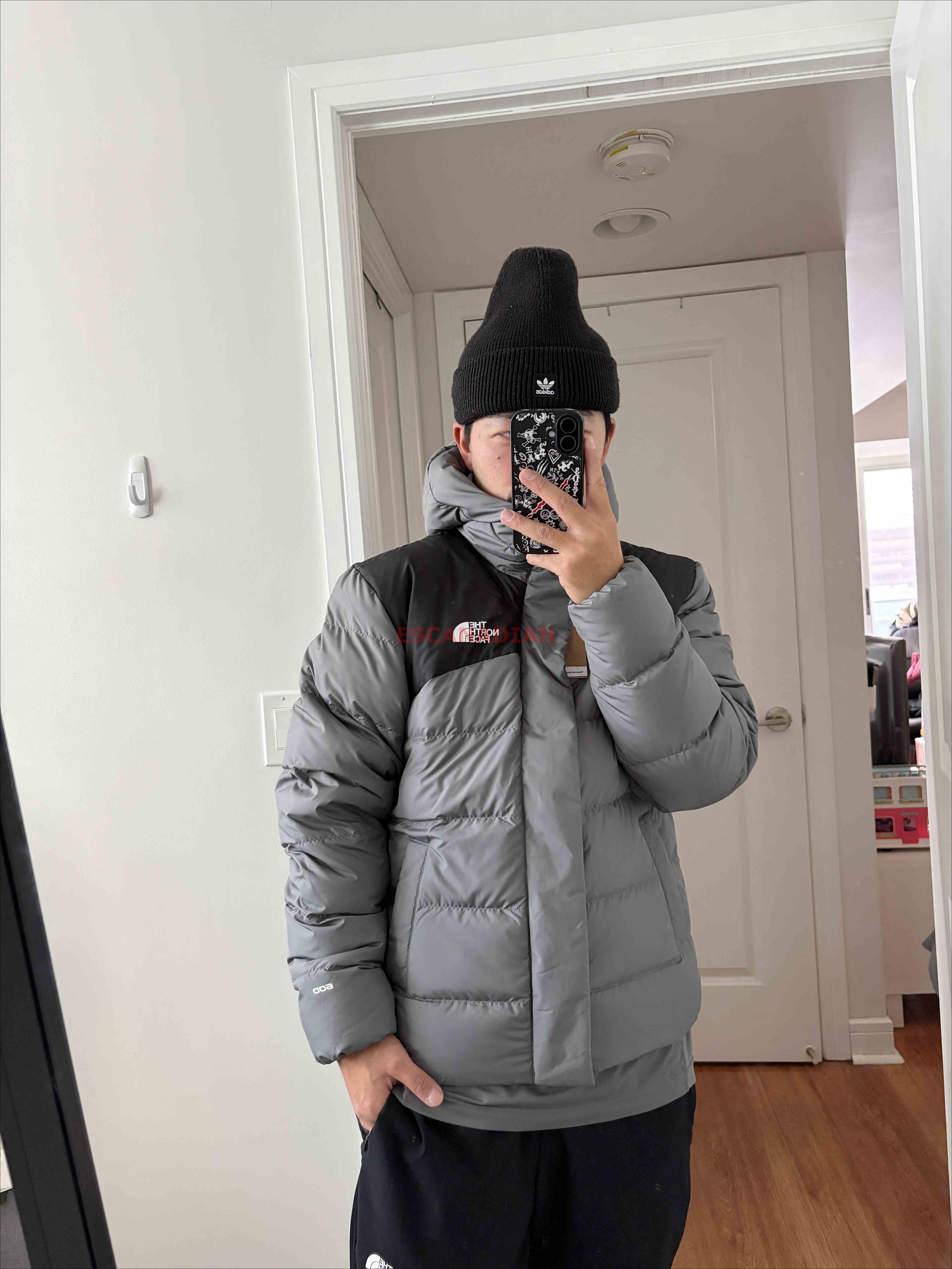 THE NORTH FACE 男大人 Baltic Puffer系列 防潑水 600蓬鬆羽絨 連帽外套