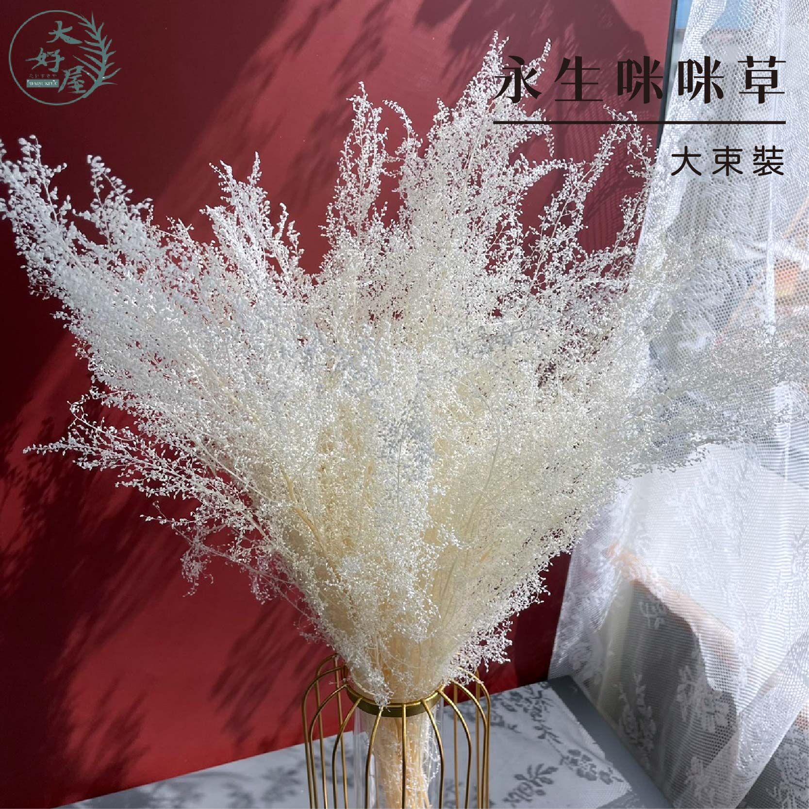 永生咪咪草【大束裝】