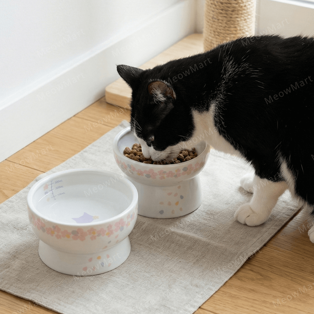 Necoichi 2026櫻花 高腳食物碗