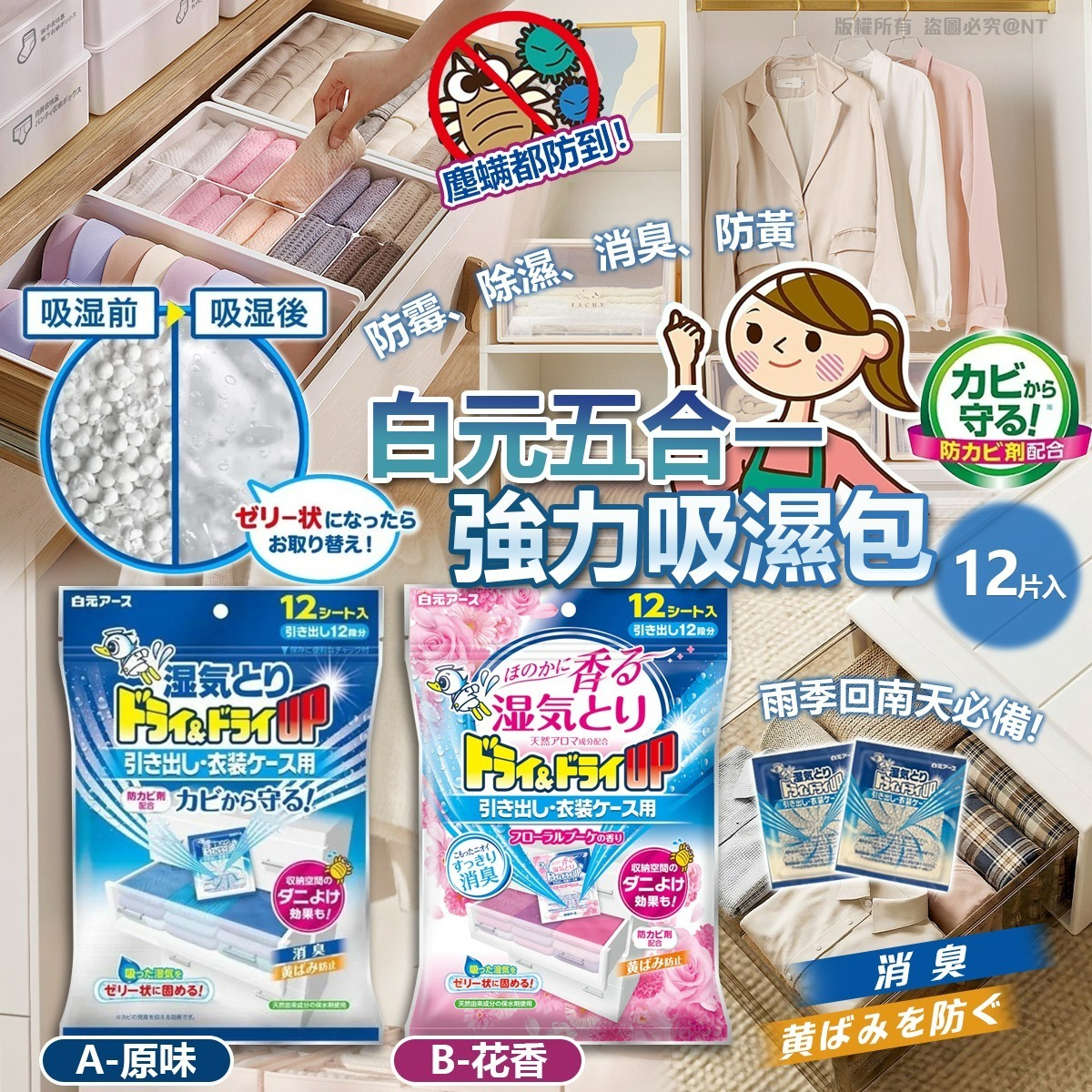 【預訂】AW021301 日本白元五合一強力吸濕包 (12個裝)