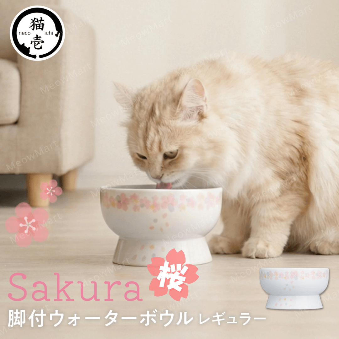 Necoichi 2026櫻花 高腳水碗