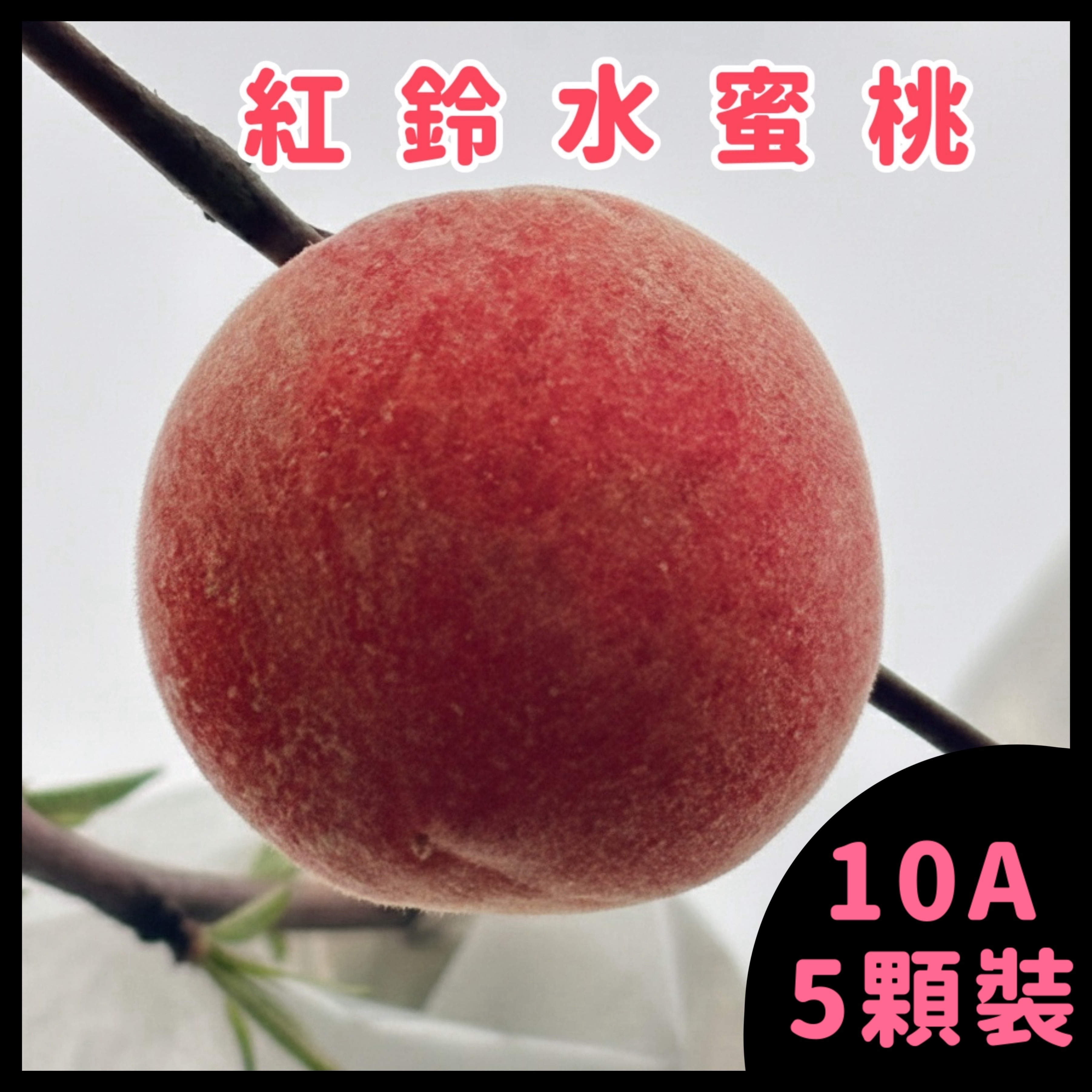紅鈴水蜜桃 10A 5顆裝