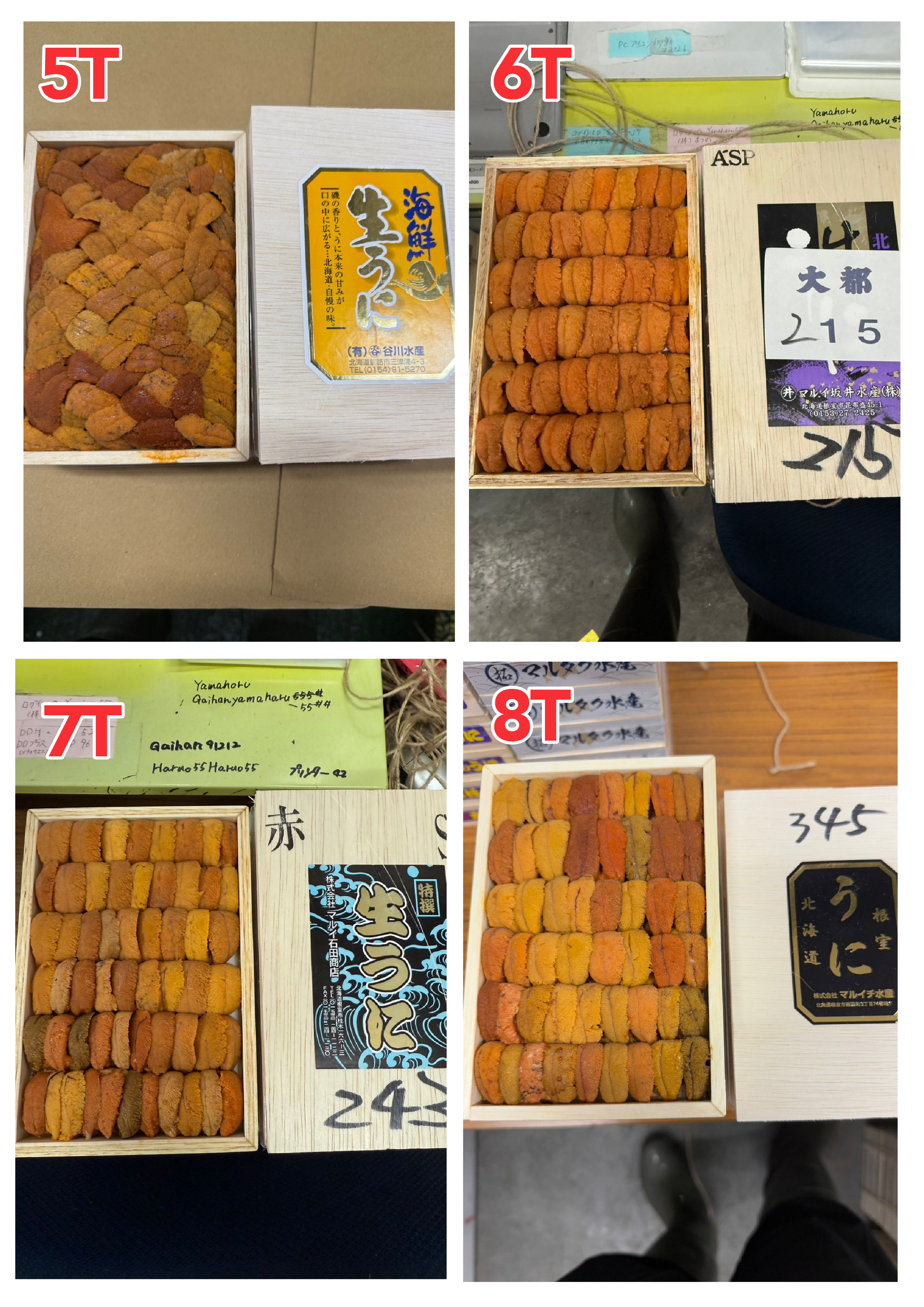 【指定海膽推薦】每天更新 (限即日落單, 翌日送)