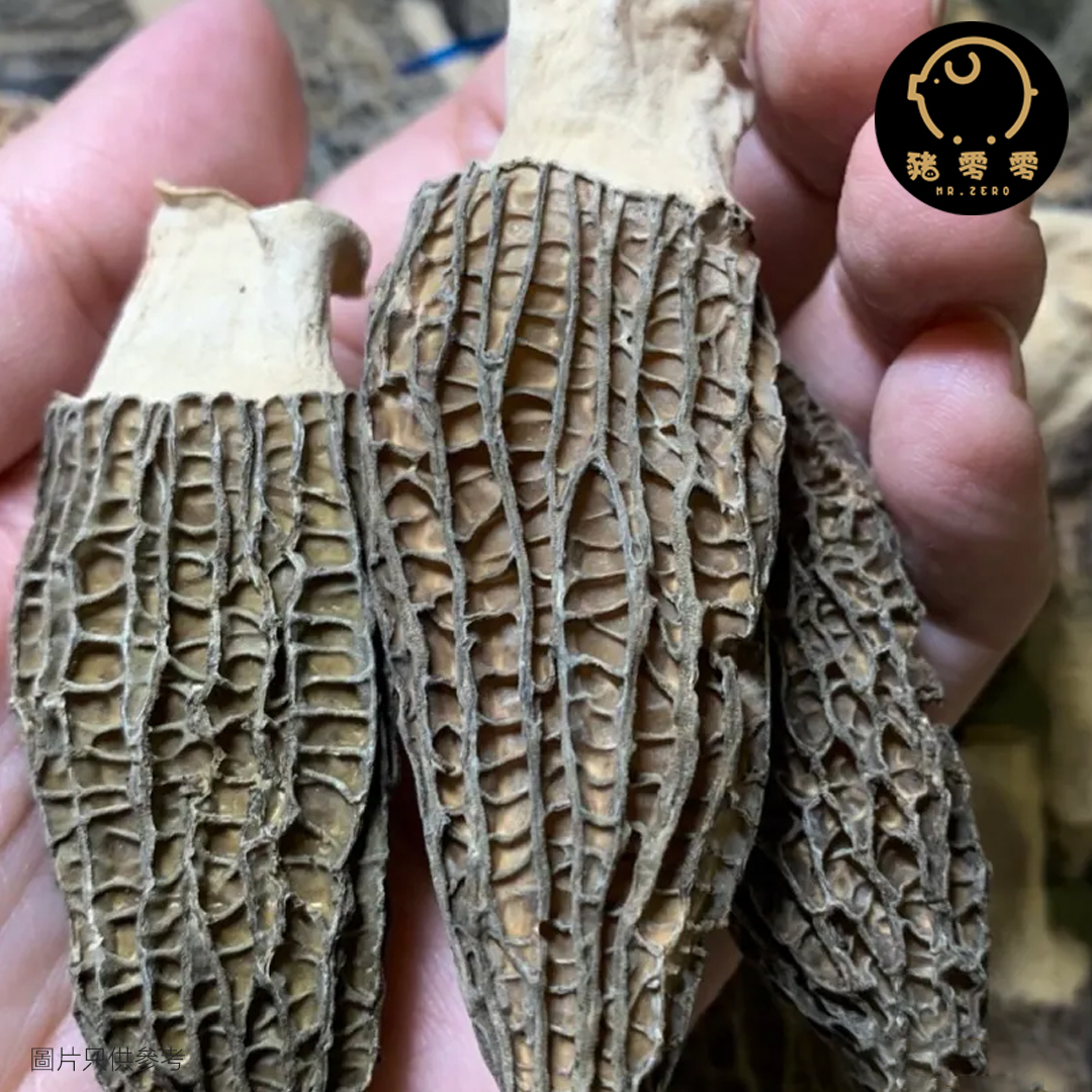 羊肚菌 (2兩裝) 家庭裝 增強抵抗力