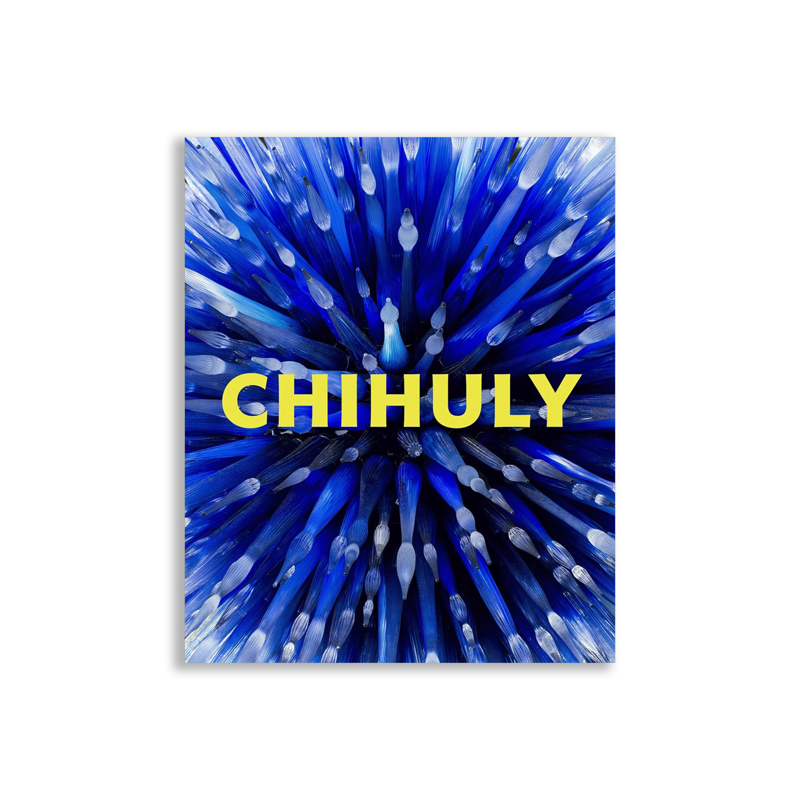 Chihuly: Forms in Nature