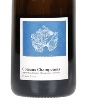 Etienne Calsac Coteaux Champenois Blanc 2021