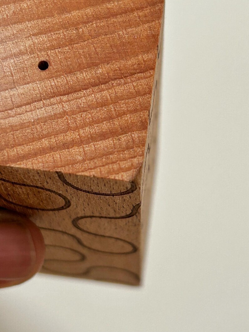 Dusen Dusen-木質調味罐，設計獨特，充滿抽像美感。