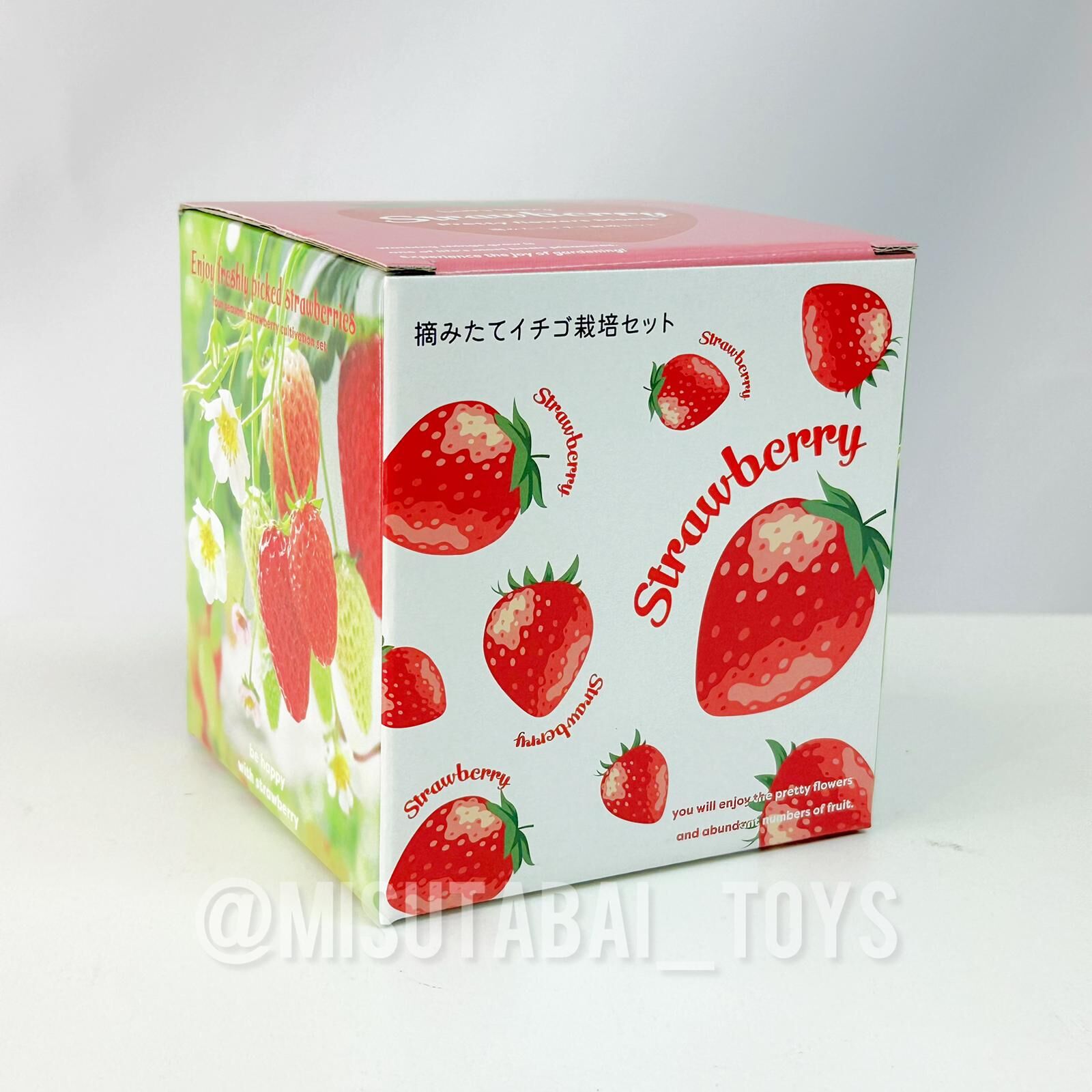 Seishin GD-1000 Strawberry Bloom pink flowers