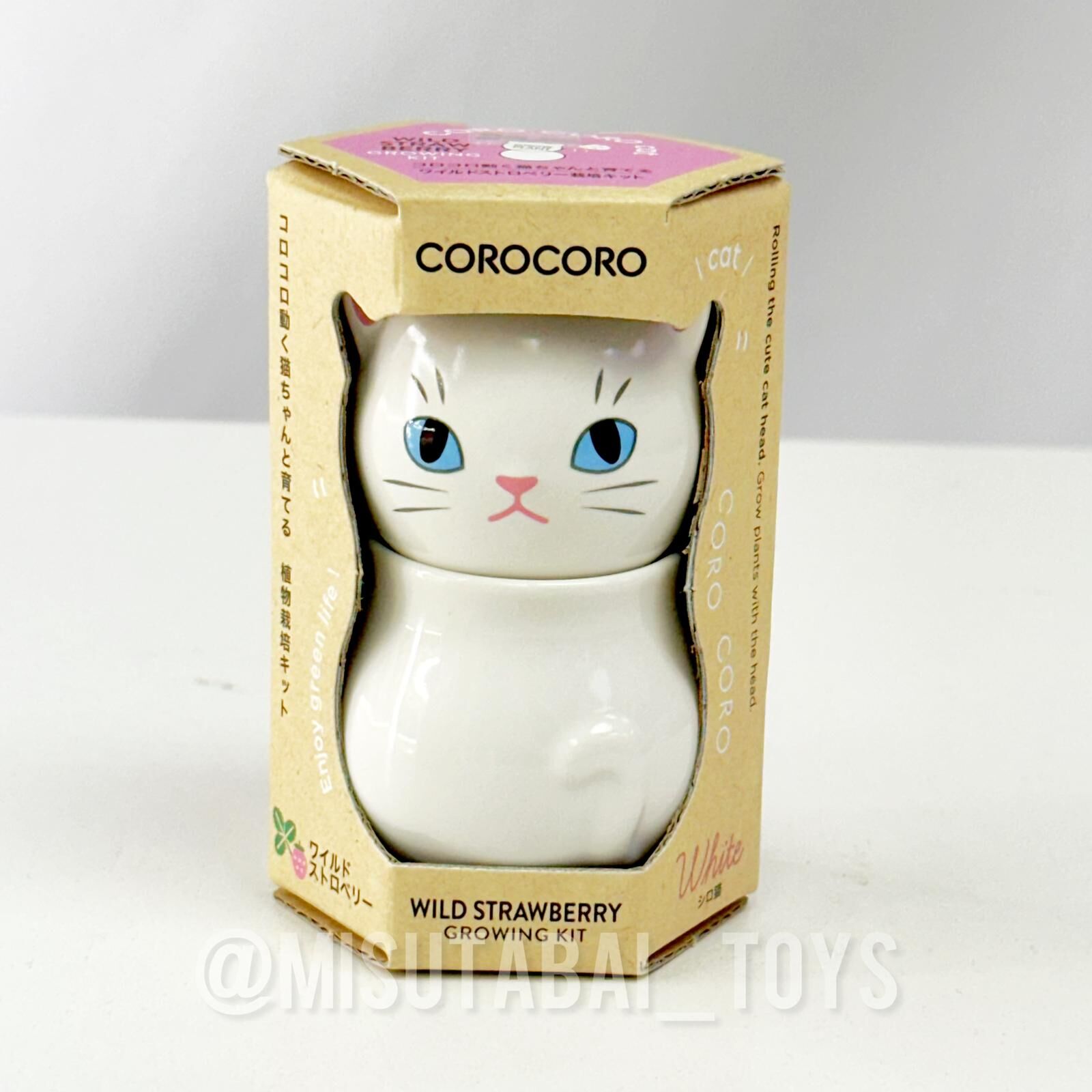 SeiShin GD-102603 COROCORO CAT - Wild Strawberry