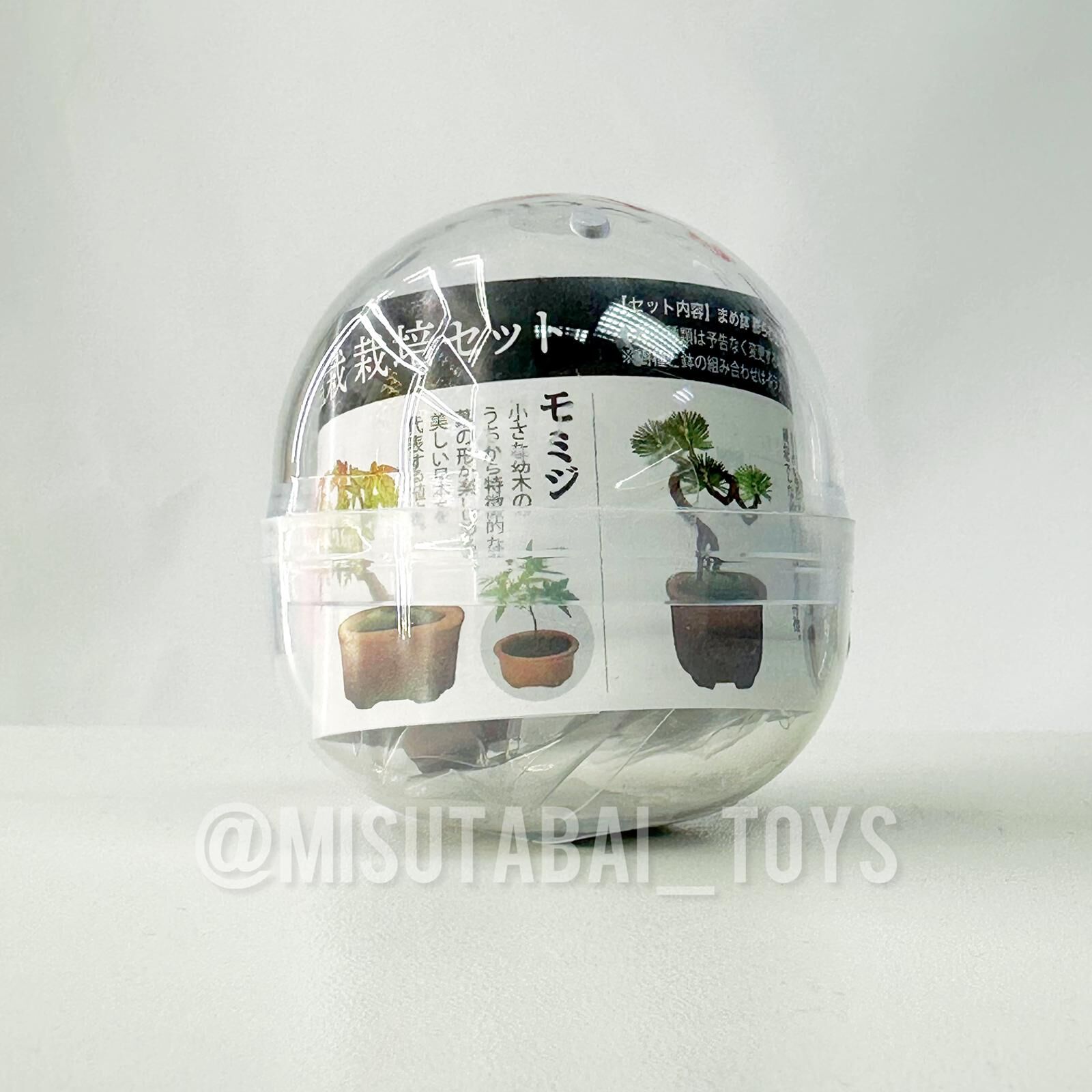 SeiShin GD-954 Growing Capsule-Bonsai Collection