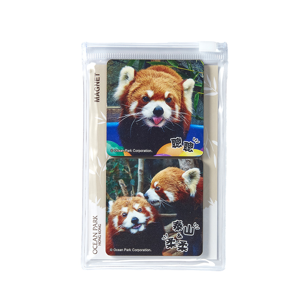 Red Panda Square Magnet 2pcs Set