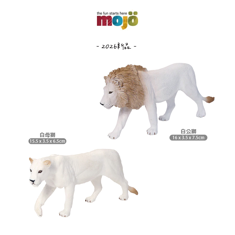 【幻夢文玩商店３年育成‼︎】悶尖球白獅子40mm 幻夢文玩商店3年育成‼︎】悶尖球白獅子40mm 幻夢文玩商店3年育成