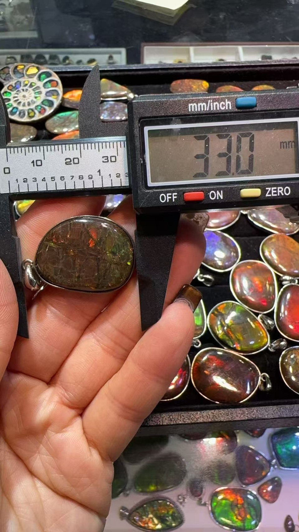 斑彩菊石｜吊墜｜寵粉