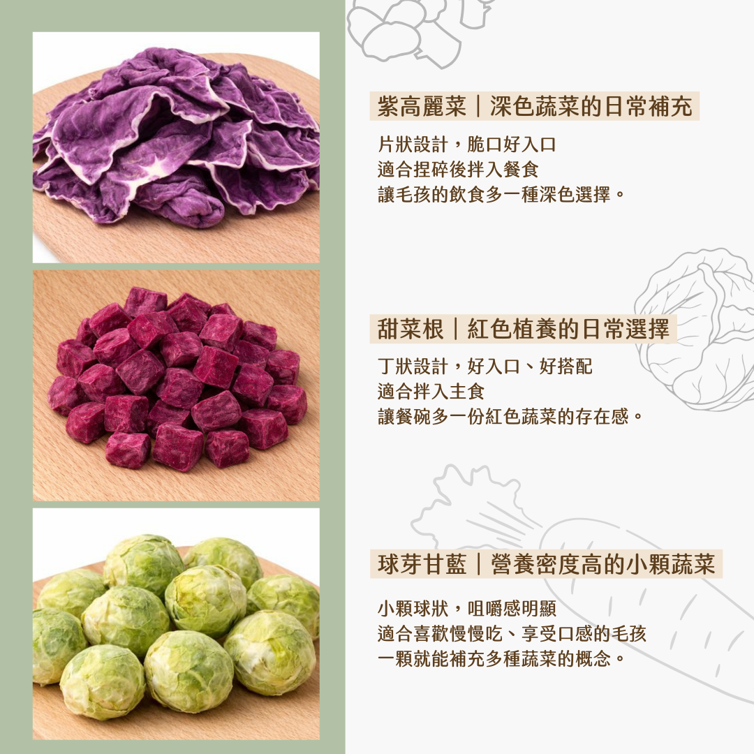 （售完待補貨）超級蔬菜三入組｜甜菜根・球芽甘藍・紫高麗菜