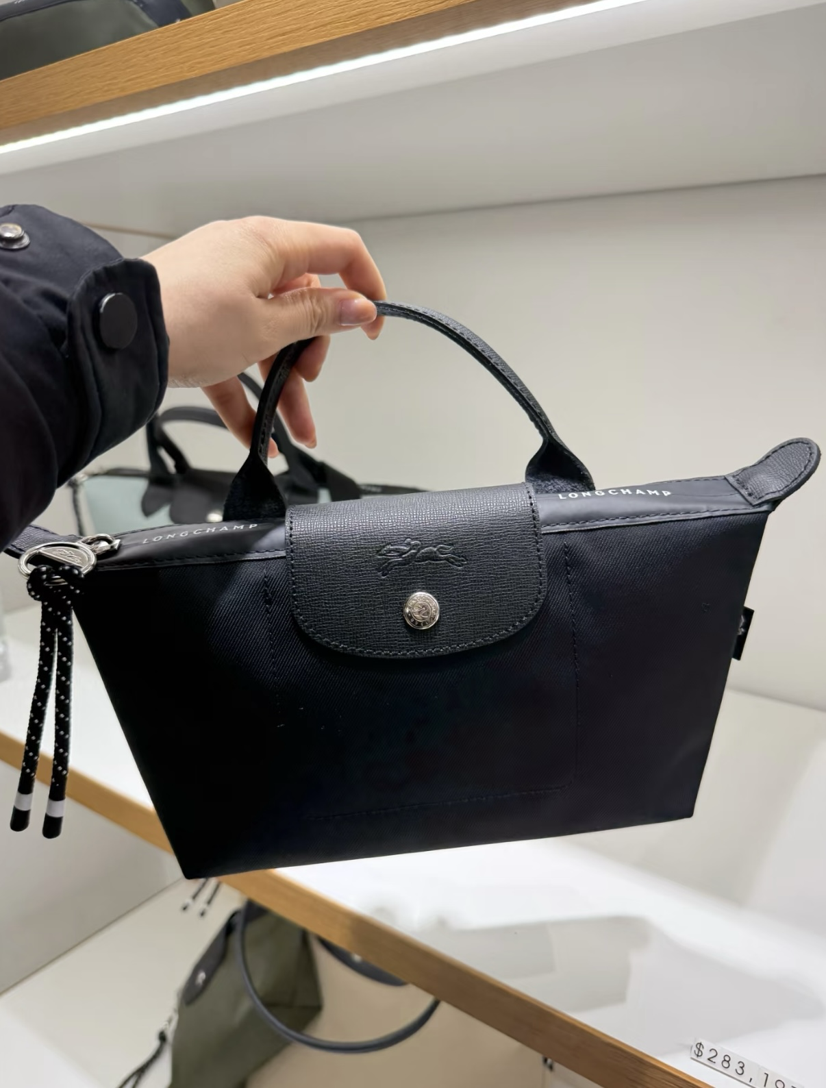 Longchamp Le Pilage Top Handle Pouch