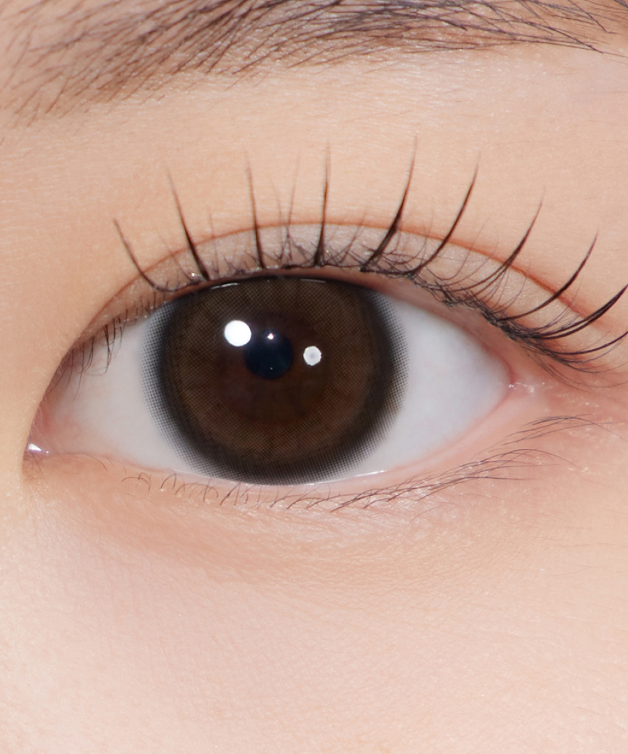 Hapa Kristin Quiet Kristin 1Day Contact Lens - GLOW BROWN