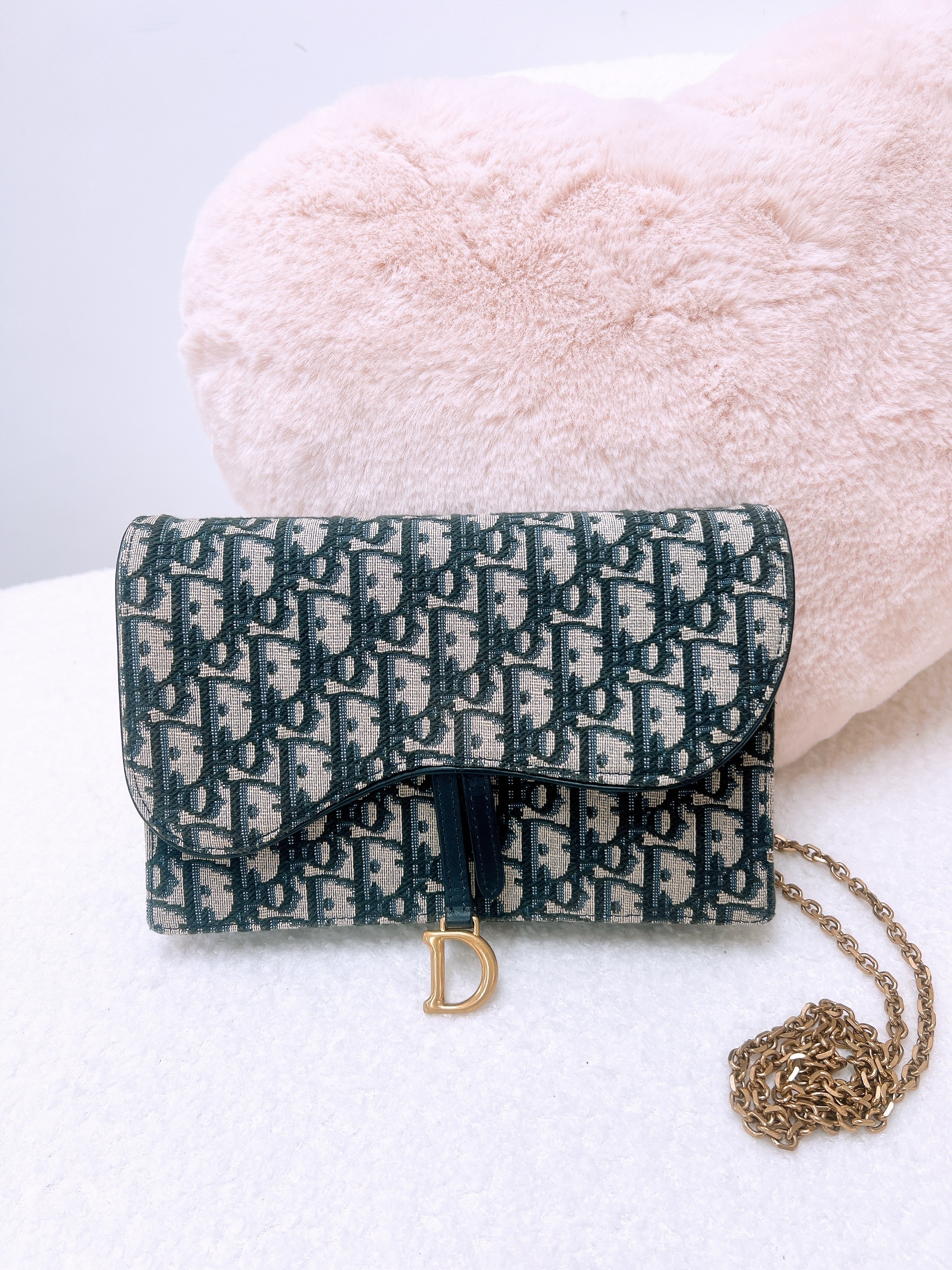 Dior saddle woc / wallet on chain (blue oblique)