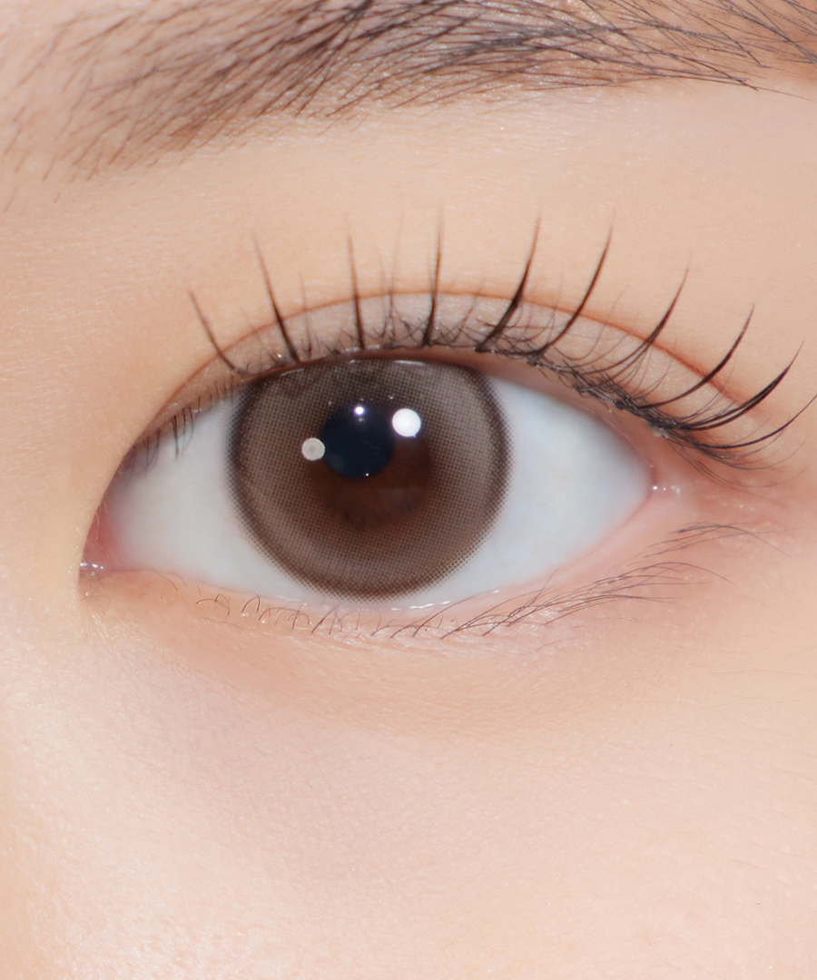 Hapa Kristin Sugar High Kristin 1Day Contact Lens - ASH CHOCO