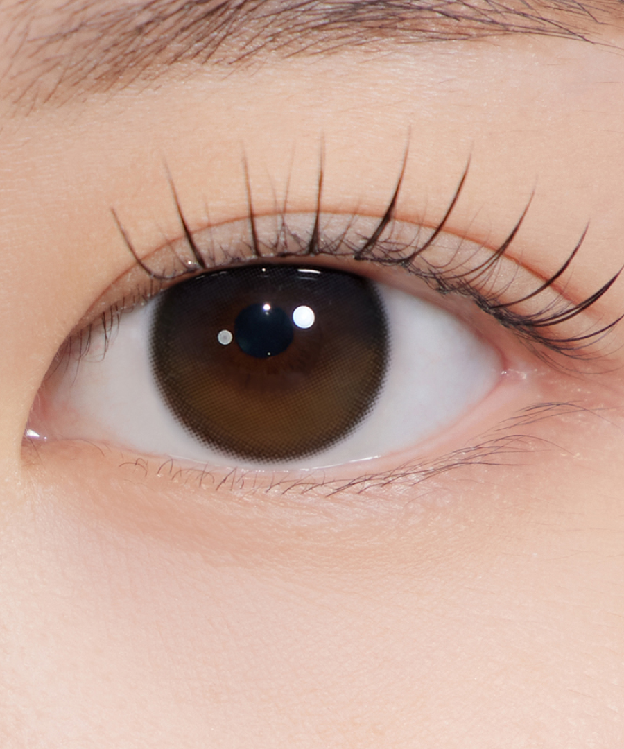Hapa Kristin Secretive Kristin 1Day Contact Lens - DUSK BROWN