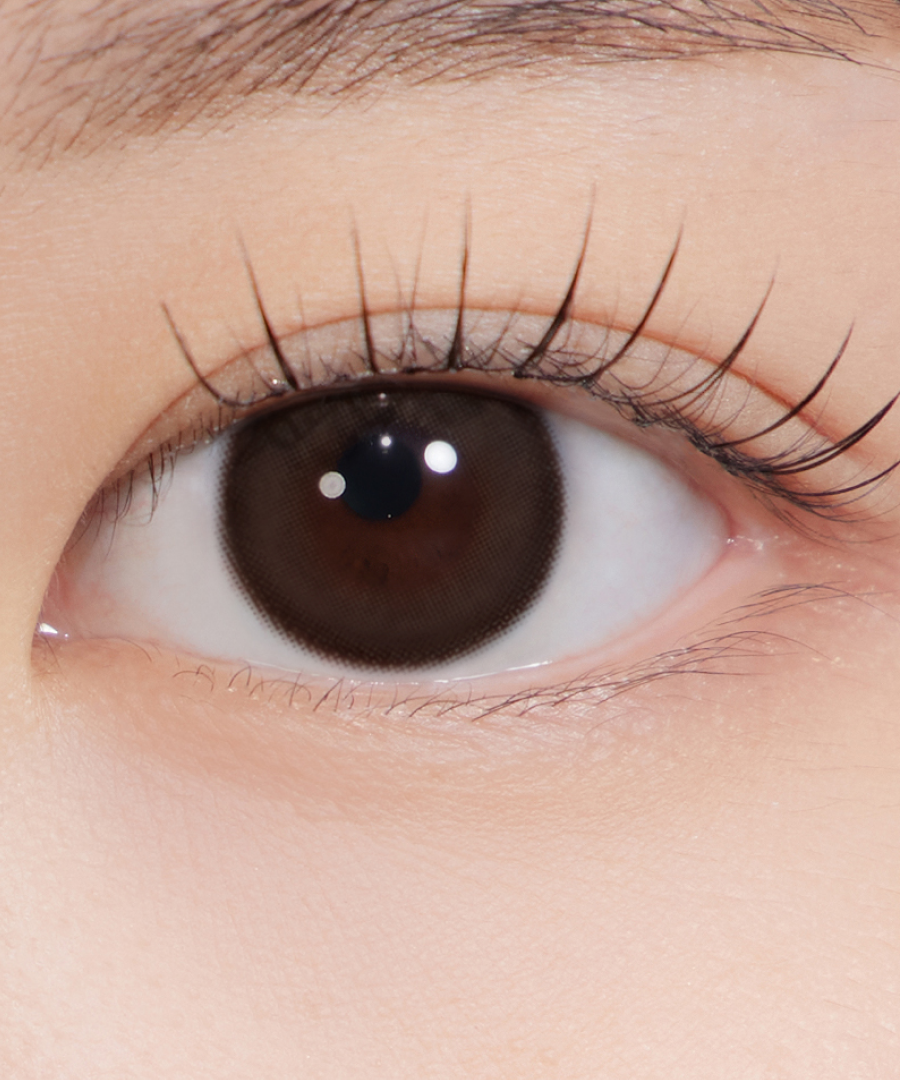 Hapa Kristin See Through Kristin 1Day Contact Lens - CHOCO
