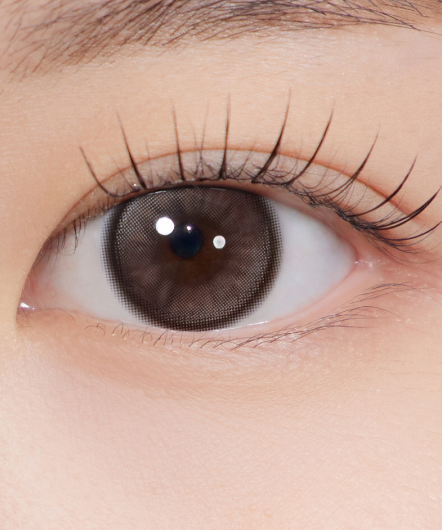 Hapa Kristin Dolly Kristin 1Day Contact Lens - CHOCO