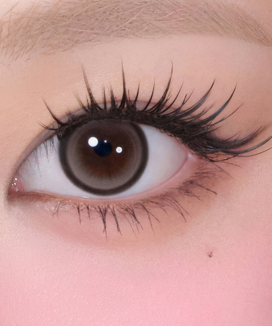 Hapa Kristin Cat-titude Kristin 1Day Contact Lens - CHOCO PAW