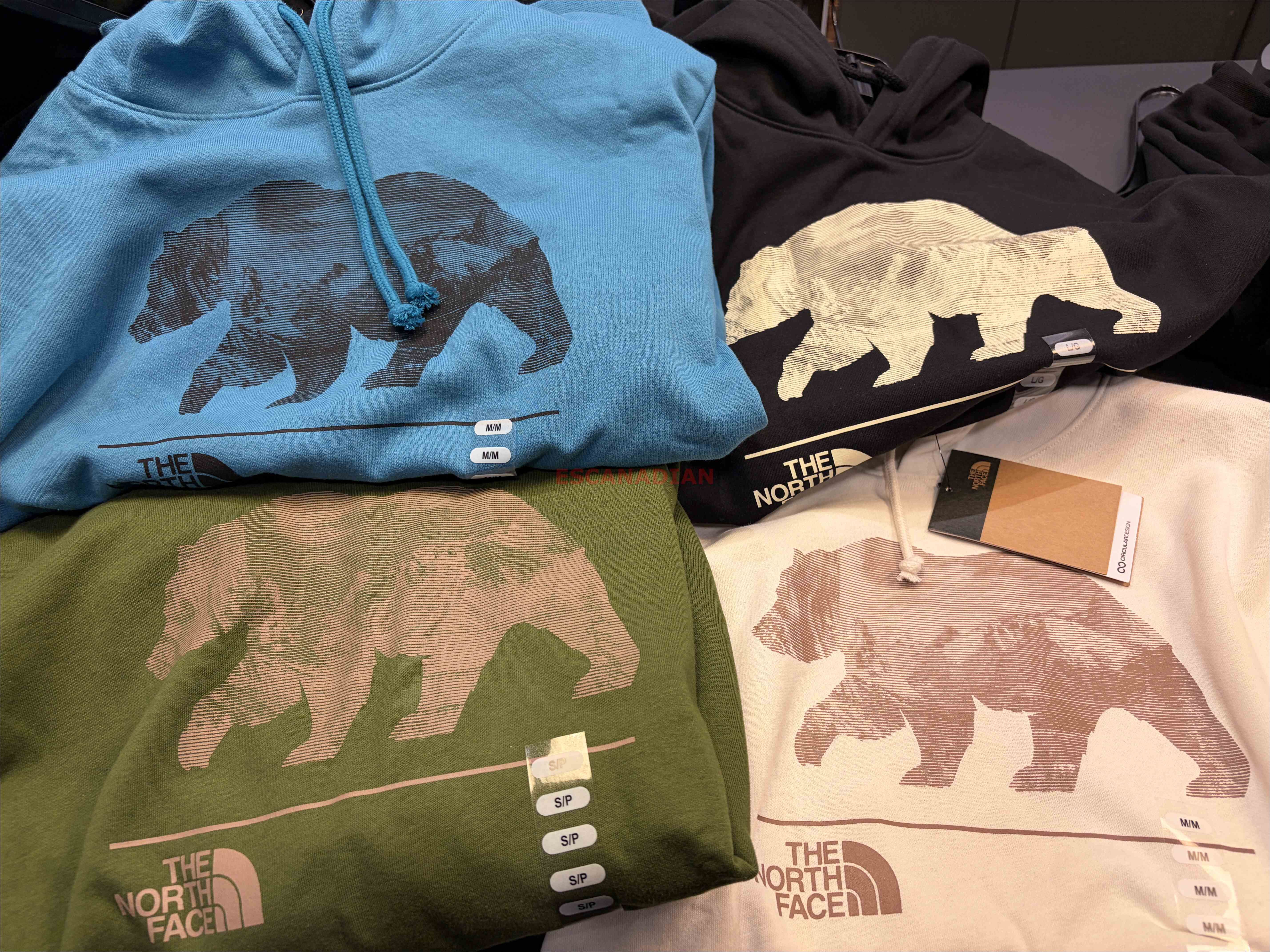 THE NORTH FACE 男大人 熊圖案 刷毛 帽TEE (3色)