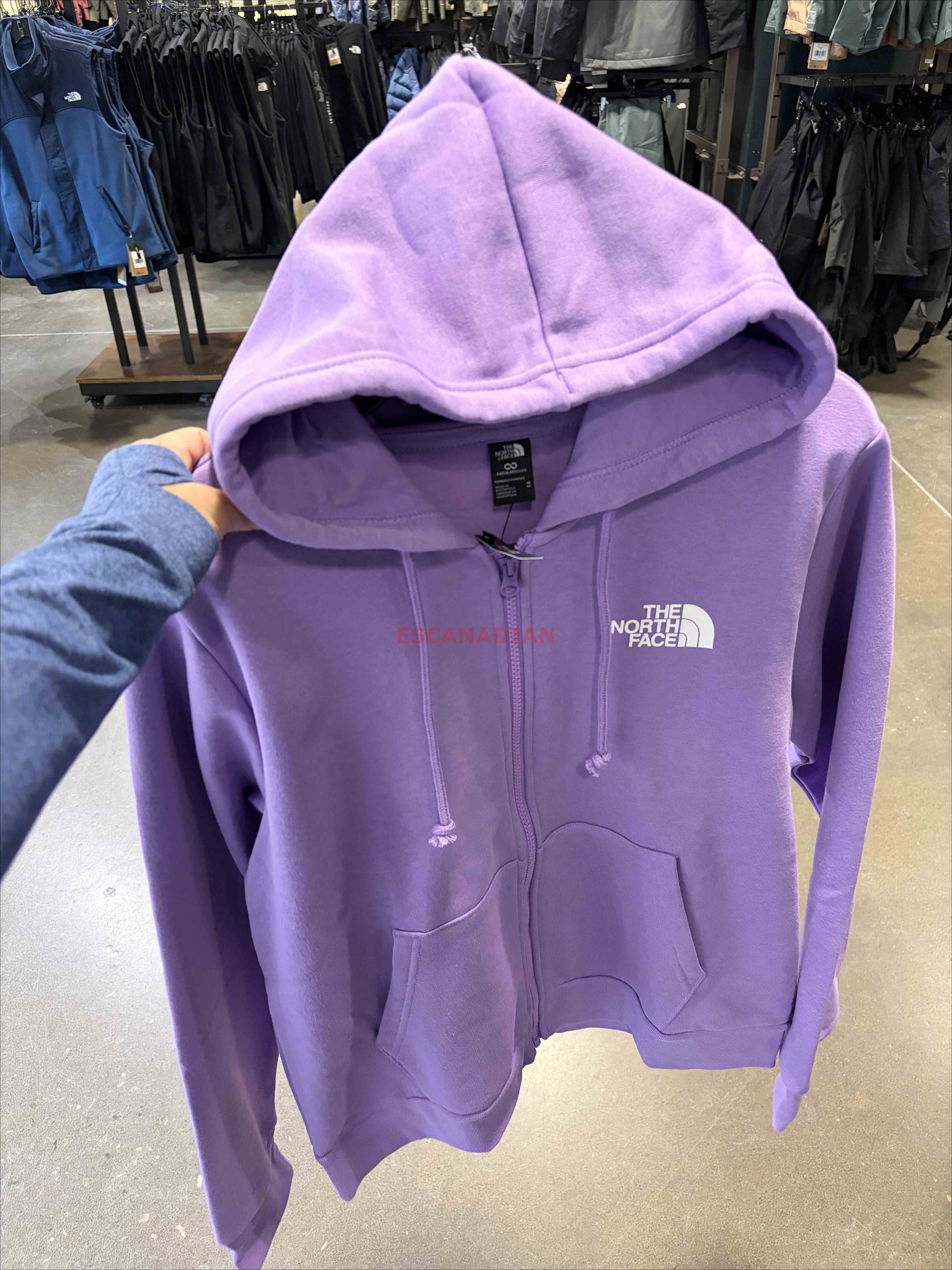 THE NORTH FACE 女大人 經典小LOGO 刷毛 連帽外套 (3色)