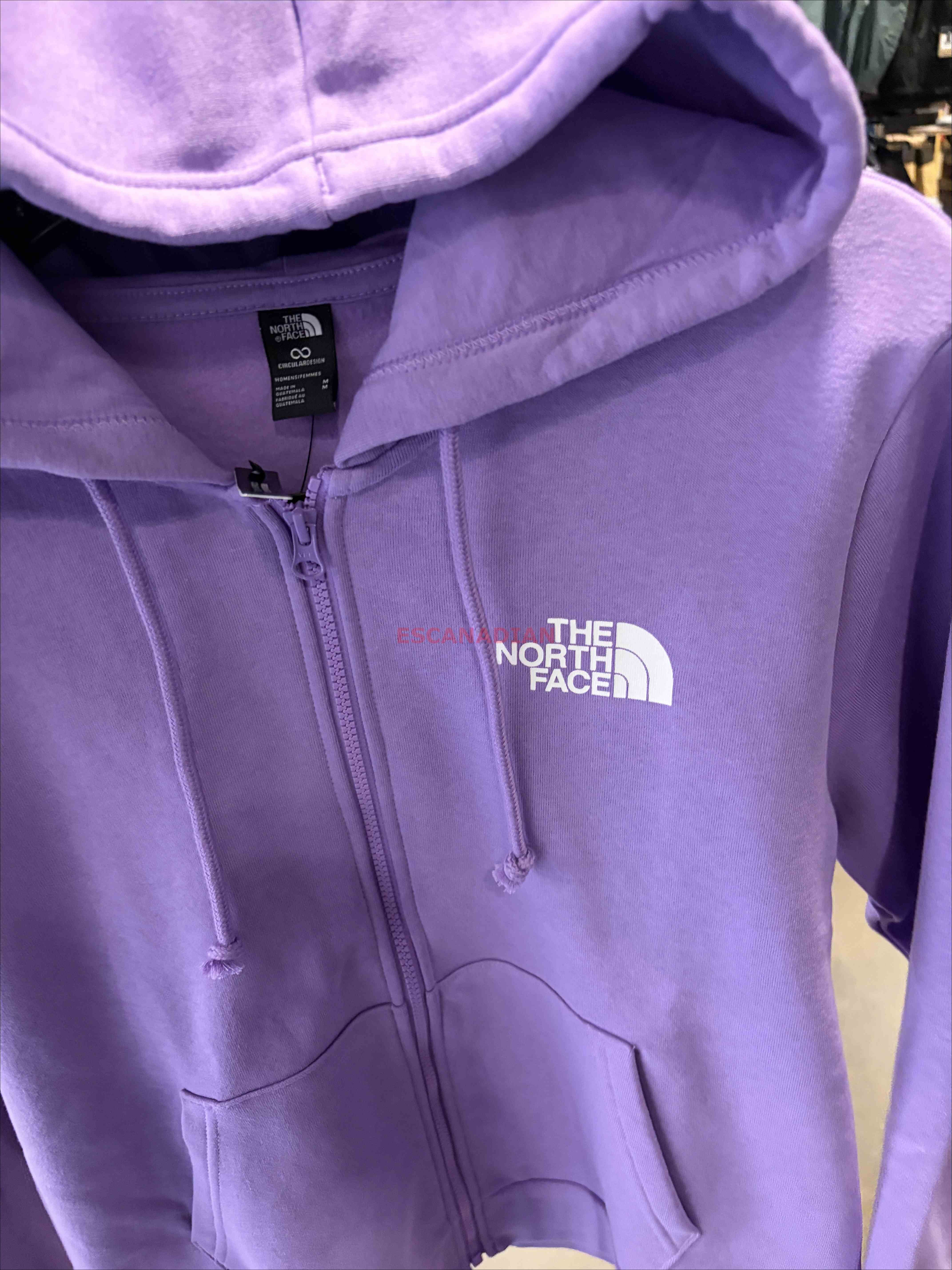 THE NORTH FACE 女大人 經典小LOGO 刷毛 連帽外套 (3色)