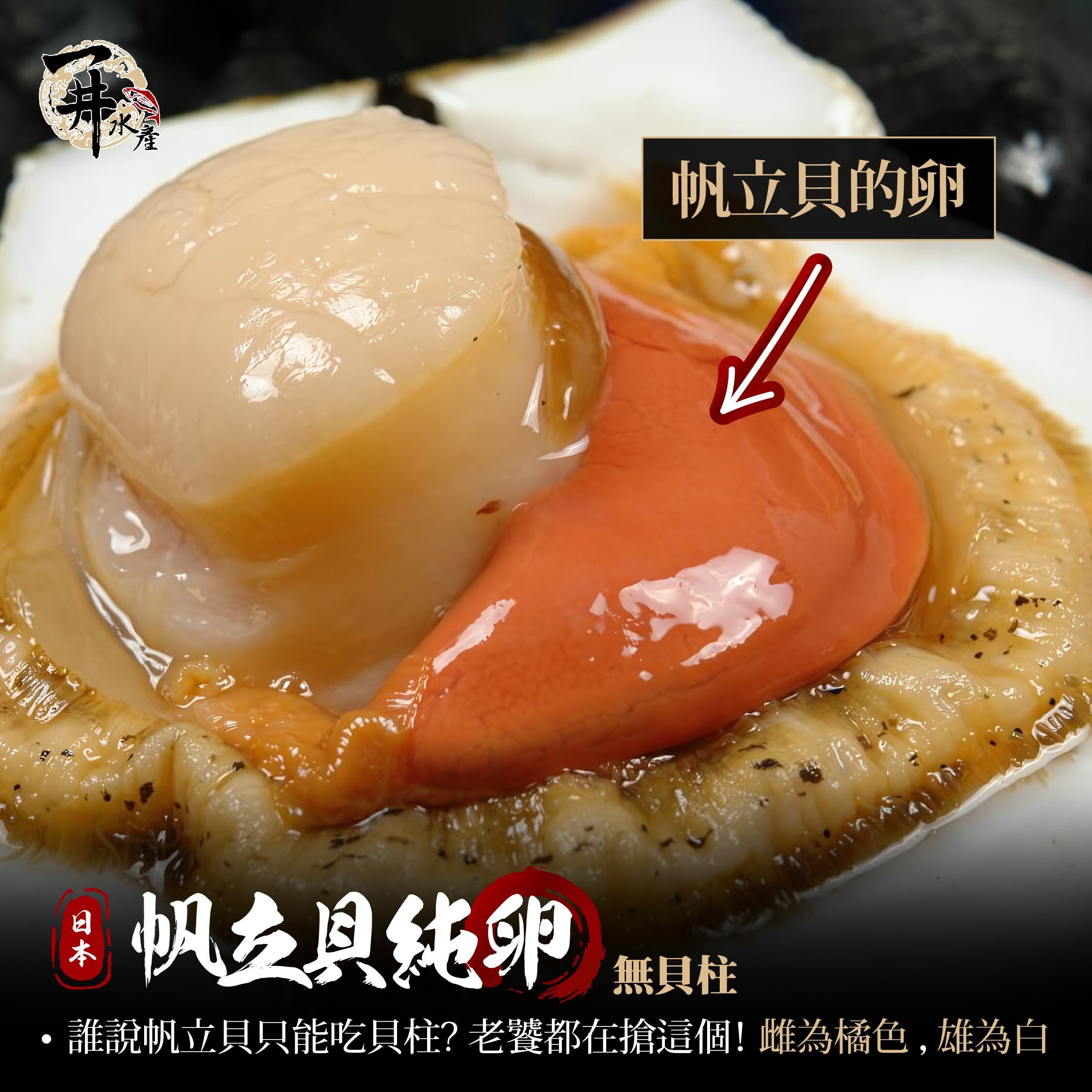 日本 帆立貝卵（純卵，無貝柱）