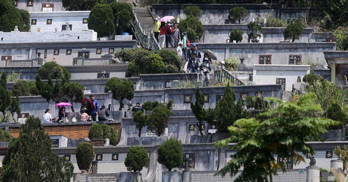 春社清明培墓掃墓