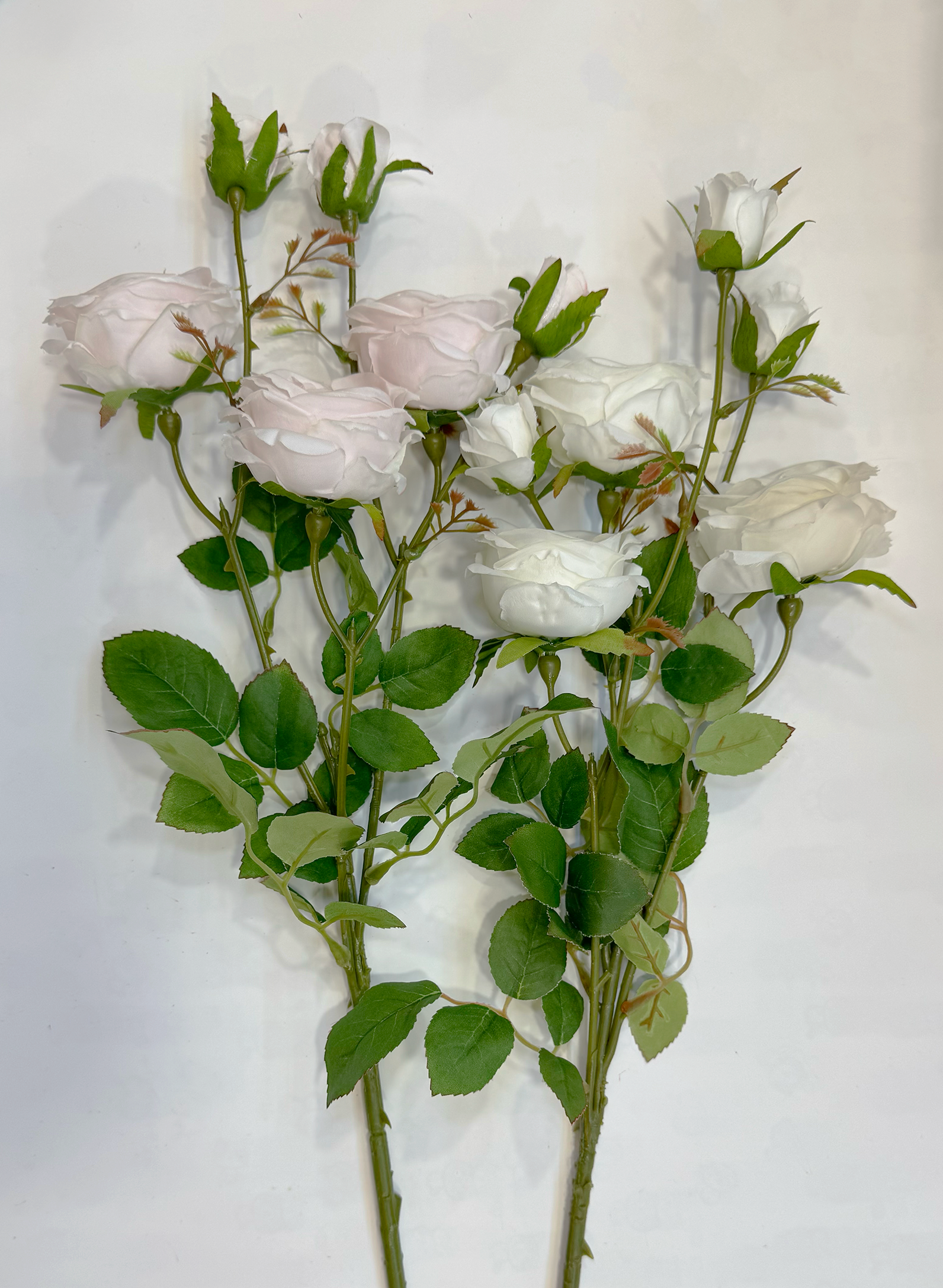 擬真庭園玫瑰（兩色）